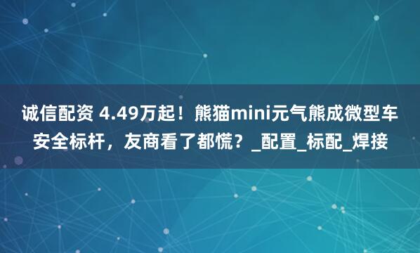 诚信配资 4.49万起！熊猫mini元气熊成微型车安全标杆，友商看了都慌？_配置_标配_焊接