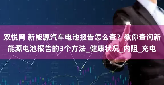 双悦网 新能源汽车电池报告怎么查？教你查询新能源电池报告的3个方法_健康状况_内阻_充电