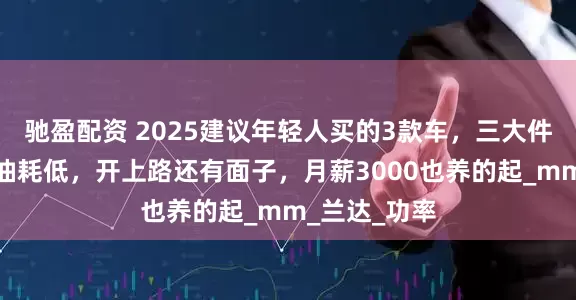 驰盈配资 2025建议年轻人买的3款车，三大件皮实耐用，油耗低，开上路还有面子，月薪3000也养的起_mm_兰达_功率