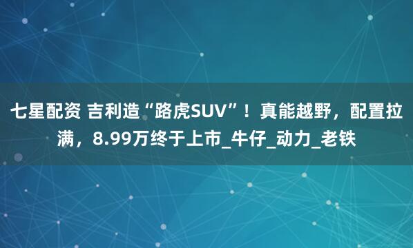 七星配资 吉利造“路虎SUV”！真能越野，配置拉满，8.99万终于上市_牛仔_动力_老铁